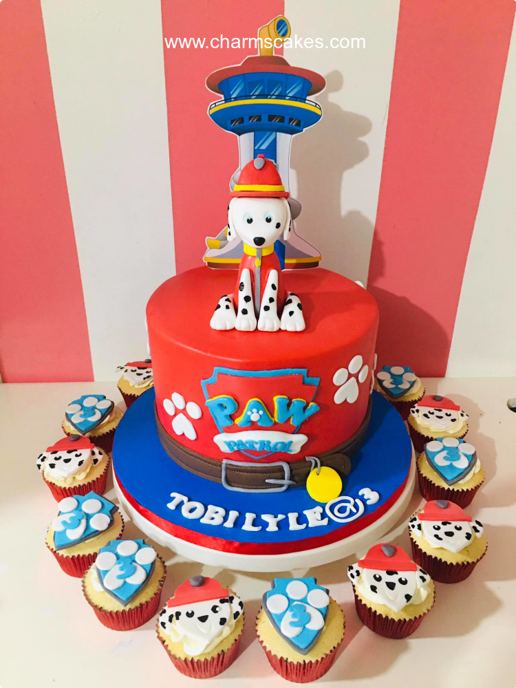 Tobi Paw Patrol Custom Cake